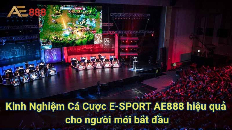 kinh-nghiem-ca-cuoc-e-sport-ae888-hieu-qua-cho-nguoi-moi-bat-dau