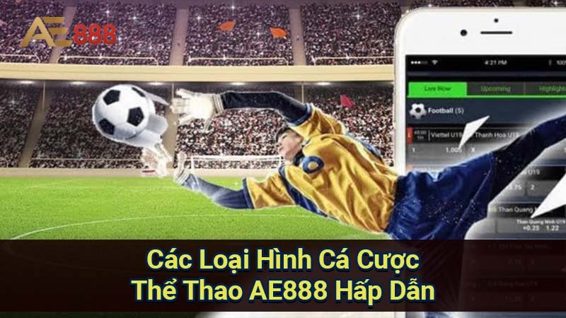 cac-loai-hinh-ca-cuoc-the-thao-ae888-hap-dan