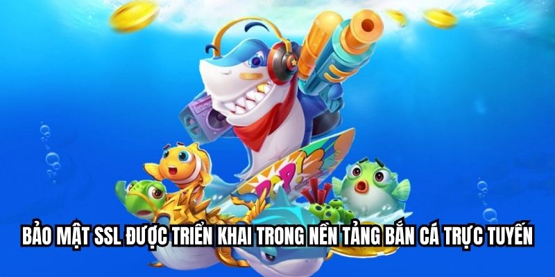 Bảo mật SSL được triển khai trong nền tảng bắn cá trực tuyến